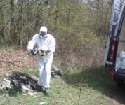Beseitigung von Umweltdelikten- hier Asbestentsorgung